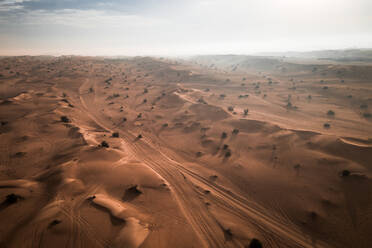 Luftaufnahme von Reifenspuren durch die Sanddünen und Sträucher der arabischen Wüste am frühen Morgen, Dubai UAE - AAEF09551