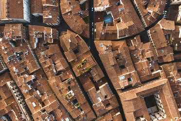 Luftaufnahme von bunten orangefarbenen Dächern in Florenz, Italien. - AAEF09628
