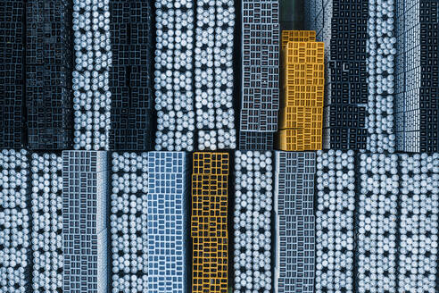 Aerial view of abstract beer barrels stored in rows, Leuven, Belgium. - AAEF09640