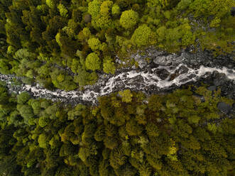 Luftaufnahme eines Gebirgsbachs, der mit hoher Geschwindigkeit durch einen üppigen Wald im Val di Mello, Lombardei, Italien, fließt. - AAEF09737