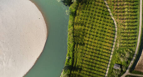 Luftaufnahme einer Flussschleife des Sesia mit weißem Strand und einem Obstbaumfeld bei Langosco, Lombardei, Italien. - AAEF09750