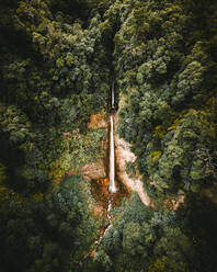 Luftaufnahme des Wasserfalls Ribeira Quente im Wald auf der Insel Sao Miguel, Azoren-Archipel, Portugal. - AAEF09780