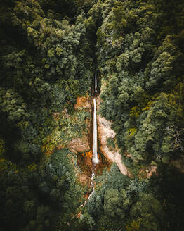 Luftaufnahme des Wasserfalls Ribeira Quente im Wald auf der Insel Sao Miguel, Azoren-Archipel, Portugal. - AAEF09780