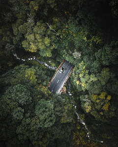 Luftaufnahme eines Pick-up-Fahrzeugs, das eine schöne Straße inmitten der tiefen Waldvegetation fährt und dabei einen kleinen Bach auf der Insel Pico, Azoren-Archipel, Portugal, überquert. - AAEF09781