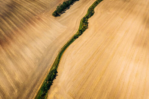 Abstrakte Luftaufnahme eines gemähten, durch Bäume unterteilten Feldes in O√ümannstedt, Th√ºringen, Deutschland. - AAEF09856