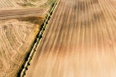 Abstract aerial view of mowed field divided by trees in O√ümannstedt, Th√ºringen, Germany. - AAEF09857