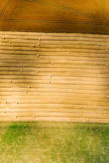 Abstrakte Luftaufnahme von Strohballen auf einem Feld in Chemnitz, Deutschland. - AAEF09864
