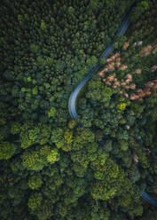 Abstrakte Luftaufnahme einer kurvenreichen Straße durch den Wald im Nationalpark S√§chsische Schweiz, Deutschland. - AAEF09866