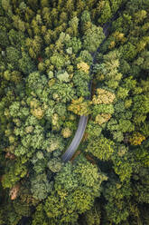 Abstrakte Luftaufnahme einer kurvenreichen Straße durch den Wald im Nationalpark S√§chsische Schweiz, Deutschland. - AAEF09871