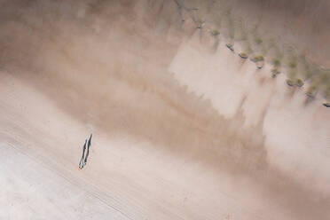 Aerial view of two people running on the beach at the island Terschelling, Friesland, The Netherlands. - AAEF09888