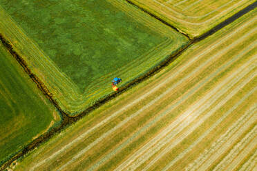 Aerial view of tractor mowing the grass on farmland in Friesland, The Netherlands. - AAEF09914