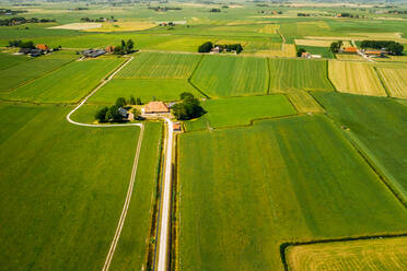 Aerial view of farmland with farmer houses in Friesland, The Netherlands. - AAEF09917