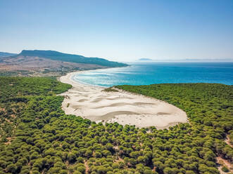 Luftaufnahme der Sanddünen und der Bäume am Strand von Bolonia in der Gemeinde Tarifa in der Provinz Cádiz, Andalusien, Spanien. - AAEF09998