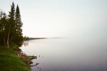 Grüne Bäume wachsen am Ufer eines ruhigen Sees in der Nähe eines kleinen alten Stegs an einem nebligen Tag in Lappland - ADSF27440