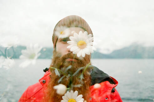Double exposure of bearded serious guy in hat and coat on meadow and fresh camomiles in Lapland - ADSF27444