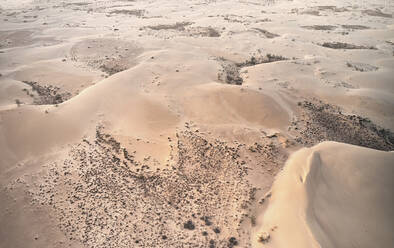 Luftaufnahme einer Wüstenebene mit Dünen und Büschen in der Morgendämmerung bei Corralejo, Fuerteventura, Spanien. - AAEF10043