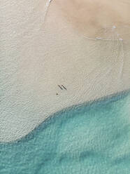 Luftaufnahme von zwei Personen, die in der Nähe einer Schildkröte im seichten Wasser stehen, Queensland, Australien. - AAEF10089