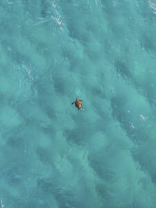 Luftaufnahme einer Schildkröte, Fraser Coast, Queensland, Australien. - AAEF10092