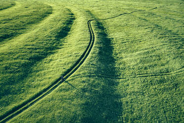 Aerial view of a part of Segment-maned floodplain of the Oka river at the Ryazan area with a silhouette of man and bicycle on the meadow road, Russia - AAEF10149