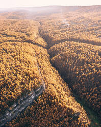 Luftaufnahme der Baumkronen des goldenen Waldes auf dem Berg in der Herbstzeit, Gubaha, Region Perm, Russland - AAEF10159