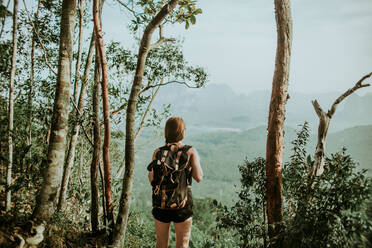 Rückenansicht einer nicht erkennbaren Wanderin mit Rucksack, die in der Nähe hoher Bäume über dem Dickicht des grünen Dschungels in wilder Natur steht - ADSF27622