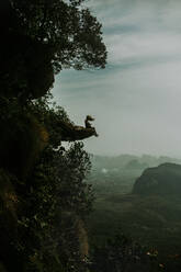 Seitenansicht einer entfernten weiblichen Reisenden mit fliegendem Haar, die auf einem Felsen über einem Wald mit grünen Bäumen in Thailand sitzt - ADSF27623