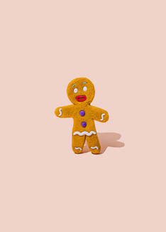 Studio shot of single gingerbread cookie - FLMF00599