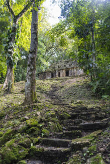 Mexico, Chiapas, Steps in ancient Mayan archaeological site of Yaxchilan - RUNF04643