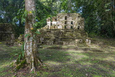 Mexico, Chiapas, Ancient Mayan archaeological site of Yaxchilan - RUNF04645