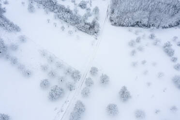 Drohnenansicht einer schneebedeckten Landschaft - RUEF03338
