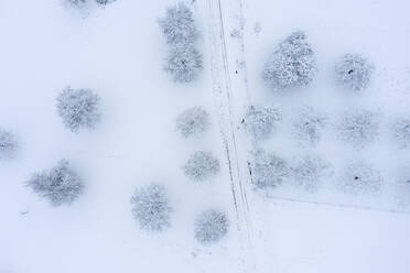 Drohnenansicht einer schneebedeckten Landschaft - RUEF03340