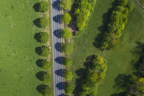 Drohnenansicht einer mit Bäumen gesäumten Landstraße im Frühling - RUEF03358