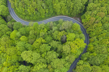 Luftaufnahme einer asphaltierten Straße, die sich durch einen grünen Frühlingswald schlängelt - RUEF03360