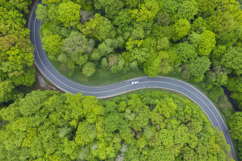 Aerial view of asphalt road winding through green springtime forest - RUEF03362