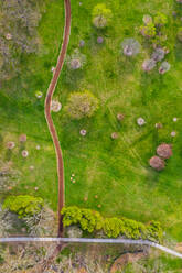 Luftaufnahme von blühenden Bäumen im Frühling im Morton Arboretum in Chicago, Illinois, Vereinigte Staaten von Amerika. - AAEF10196