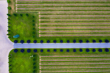 Luftaufnahme eines Weinbergs und der Obstgärten in der Nähe der Niagarafälle in Kanada. - AAEF10229