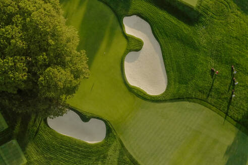 Sommer 2020 - New York, USA: Luftaufnahme des Winged Foot Golfplatzes. - AAEF10329