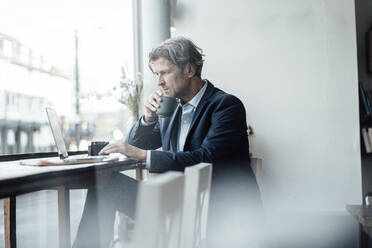 Männlicher Berufstätiger, der Kaffee trinkt und einen Laptop benutzt, während er in einem Café sitzt - JOSEF05203