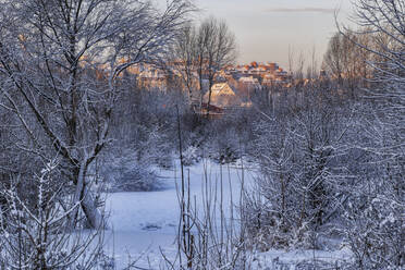 Poland, Masovian Voivodeship, Warsaw, Bare trees on snow-covered bank of Vistula at dawn with old town buildings in background - ABOF00668