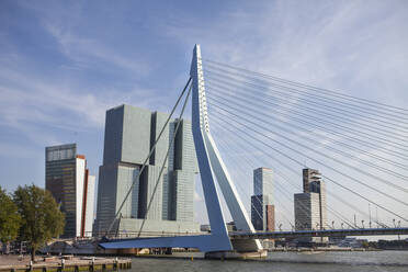 Niederlande, Südholland, Rotterdam, Erasmusbrug mit Hotel im Hintergrund - FVDF00342