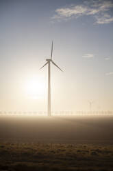 Wind turbine at foggy sunrise - FVDF00348