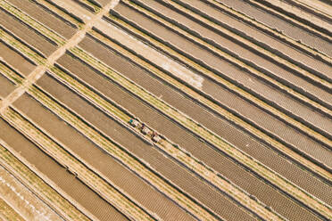 Aerial view of a brick factory from above, people working arranging the bricks near Keraniganj township, Dhaka province, Bangladesh. - AAEF10510