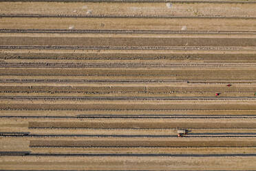 Aerial view of a brick factory from above, people working arranging the bricks near Keraniganj township, Dhaka province, Bangladesh. - AAEF10523