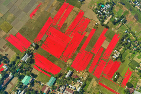 Aerial view of agricultural fields used for drying hundreds of meters of red cotton fabric roll near Narsingdi, township, Dhaka, Bangladesh. - AAEF10671