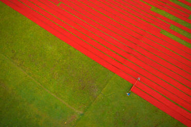 Aerial view of two people working in a field stretching red cotton fabric rolls in Narsingdi, Dhaka, Bangladesh. - AAEF10700
