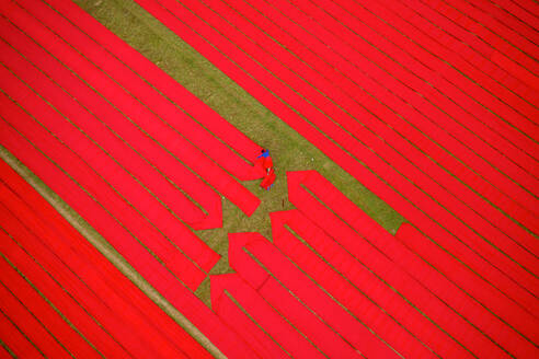 Aerial view of two people working in a field stretching red cotton fabric rolls in Narsingdi, Dhaka, Bangladesh. - AAEF10704