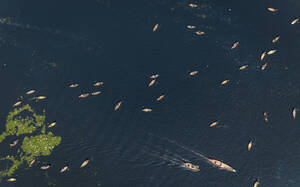 Luftaufnahme eines farbenfrohen Fähranlegers an einem kleinen Kai am Buriganga-Fluss in Keraniganj, Dhaka, Bangladesch. - AAEF10721