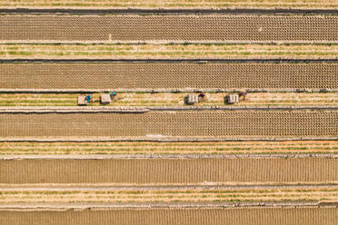 Aerial view of a brick factory from above, people working arranging the bricks near Keraniganj township, Dhaka province, Bangladesh. - AAEF10744