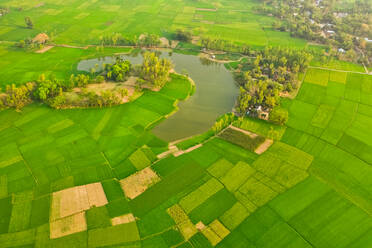 Aerial view of a beautiful field with a half moon shaped form lake in Dhunat, Rajshahi, Bangladesh. - AAEF10911
