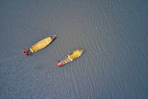 Luftaufnahme von zwei Kanus, die auf dem Fluss Ichamati fahren, mit Menschen, die Seerosen ernten, Sirajdikhan, Dhaka, Bangladesch. - AAEF10947